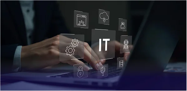 IT Software Services