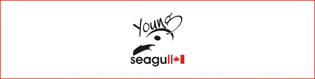 Young Seagull Advertising and Technologies