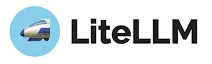 litellm