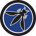 OWASP