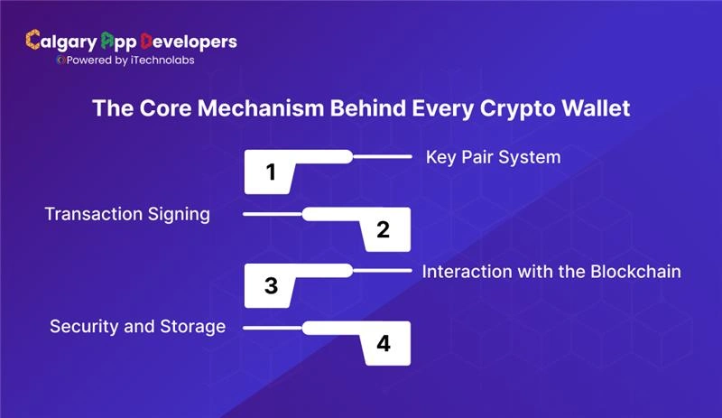 The Core Mechanism Behind Every Crypto Wallet - Calgary App Developer