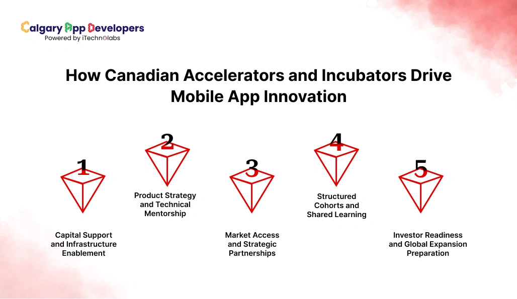 How Canadian Accelerators and Incubators Drive Mobile App Innovation - Calgary App Developer