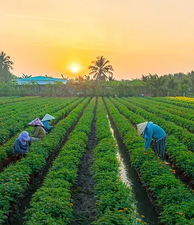 Agriculture