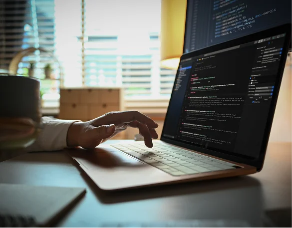 web-development
